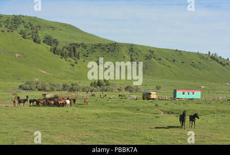 Home on the range, living off the land in the Jyrgalan Valley, Kyrgyzstan Stock Photo