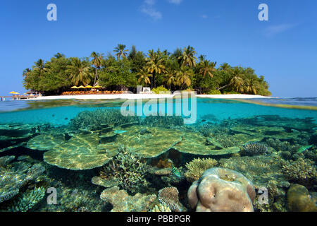Coral reef at Angsana island (former name Ihuru island), split image, North-Male Atoll, Maldive islands
