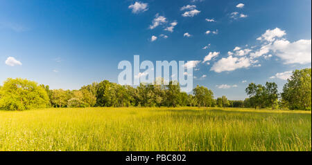Peaceful nature landscape, fresh meadow grass and wild flowers, under sunlight. Spring summer panoramic landscape. Beautiful nature scene Stock Photo