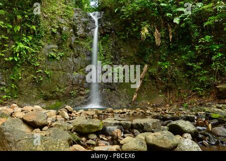 Silver falls, Nandroya Falls Circuit, Atherton Tablelands, QLD, Australia Stock Photo