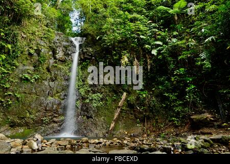 Silver falls, Nandroya Falls Circuit, Atherton Tablelands, QLD, Australia Stock Photo