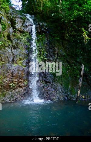 Silver falls, Nandroya Falls Circuit, Atherton Tablelands, QLD, Australia Stock Photo