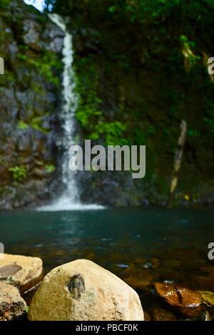 Nandroya Falls Circuit, Atherton Tablelands, QLD, Australia Stock Photo