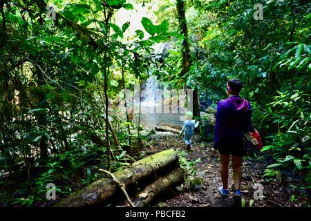 Silver falls, Nandroya Falls Circuit, Atherton Tablelands, QLD, Australia Stock Photo