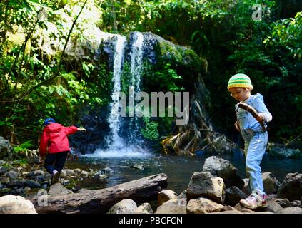 Children walking past a mountain waterfall, Silver falls, Nandroya Falls Circuit, Atherton Tablelands, QLD, Australia Stock Photo