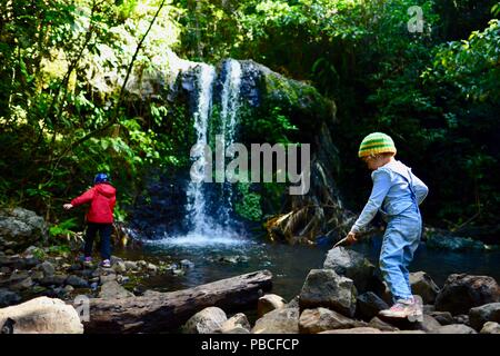 Children walking past a mountain waterfall, Silver falls, Nandroya Falls Circuit, Atherton Tablelands, QLD, Australia Stock Photo