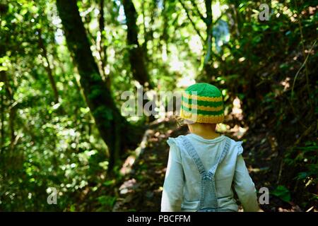 A child walks through a tropical rainforest, Nandroya Falls Circuit, Atherton Tablelands, QLD, Australia Stock Photo