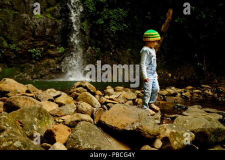 Aiming high when nothing stands in your way, a child walks past Silver falls, Nandroya Falls Circuit, Atherton Tablelands, QLD, Australia Stock Photo