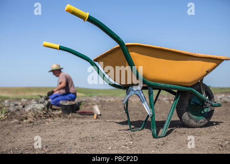 Specialized worker on archaeological excavation. Yellow wheelbarrow Stock Photo