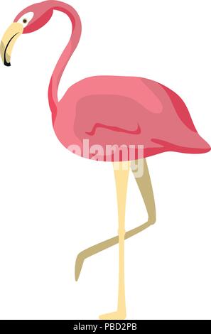 tropical flemish beauty bird animal Stock Vector