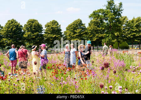 Visitors enjoying the planting by Piet Oudolf at the RHS Hampton Court Palace Flower Show 2018. Stock Photo