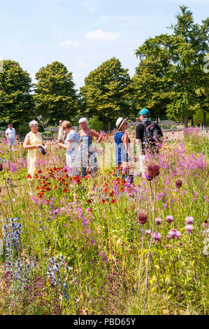 Visitors enjoying the planting by Piet Oudolf at the RHS Hampton Court Palace Flower Show 2018. Stock Photo