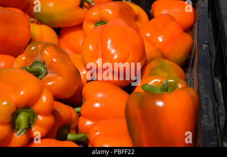 Produce at a farmers market, Tucson, Arizona, USA. Stock Photo