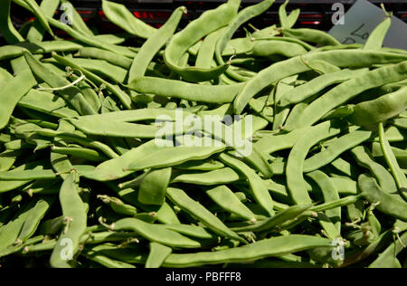 Produce at a farmers market, Tucson, Arizona, USA. Stock Photo