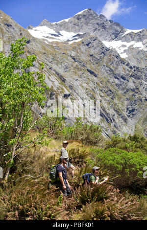 New Zealand aka Aotearoa, South Island, Mt Aspiring National Park, Siberia, group of friends hiking, admiring mountain view. Model released. Stock Photo