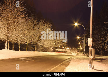 Winter city street at night with street lamps and trees covered