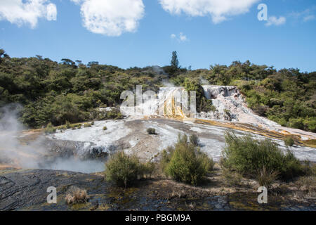 Majestic thermal activity with lush forest landscape at the geothermal ...