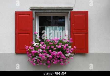 Window decorated with pink and white geranium flowers Stock Photo