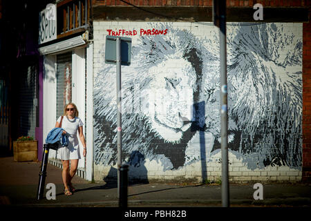 Burton Road west Didsbury, south Manchester lion mural street art by Trafford Parsons Stock Photo