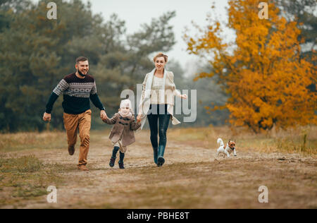 Happy parents with their daughter hold hands and run at forest path next to dog during walk in autumn forest. Stock Photo