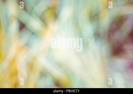 Artistic style - Defocused abstract texture background Stock Photo