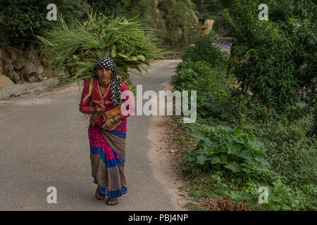 A woman carries fodder for the animals on the streets of pre-himalayan small village of Ghuttu, India Stock Photo