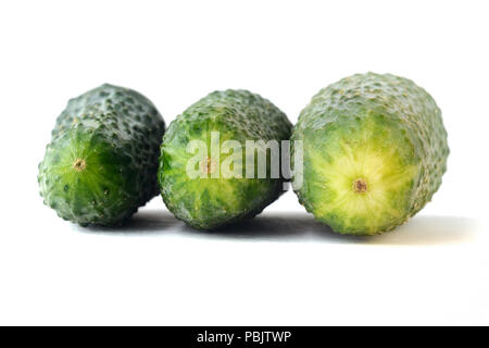 Fresh cucumbers on a white background for design Stock Photo