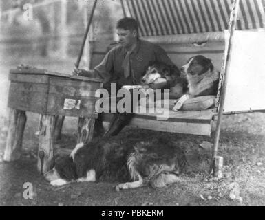 sunnybank collies
