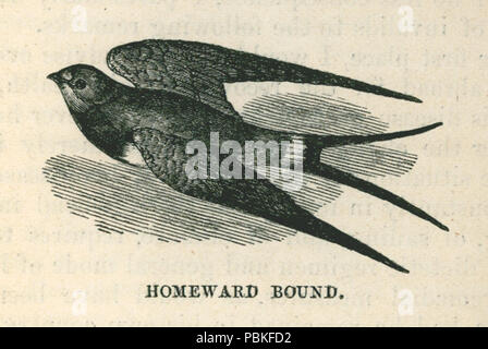 765 Homeward bound - Bennet James Henry M - 1875 Stock Photo