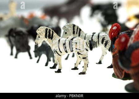 Toy animals in a vintage Noah's Ark play set, photographed on a white background. Stock Photo