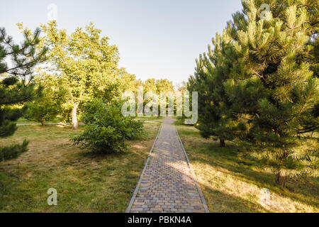 The Stone block walk path in the park with green grass background. Stock Photo
