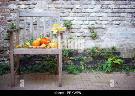 Autumn nature. Fall fruit on wood. Thanksgiving. autumn vegetables on an old chair in the garden, free space for text Stock Photo