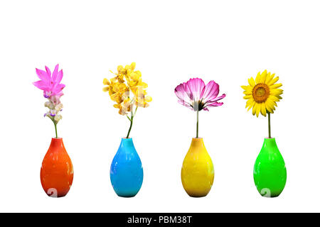 Flowers in vases isolated on white background Stock Photo - Alamy