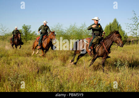 CBP, Border Patrol agents from the McAllen station horse patrol unit on patrol on horseback in South Texas. Stock Photo