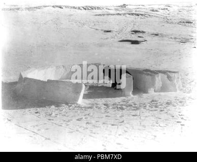 Eskimo building an igloo; completing the first layer of ice blocks 1920-1930 Stock Photo