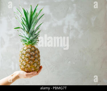 Female hand holding ripe pineapple fruit on a grey concrete background Stock Photo