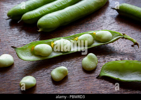 Feshly picked Broad Beans in their pod on a dark wooden kitchen table top Stock Photo