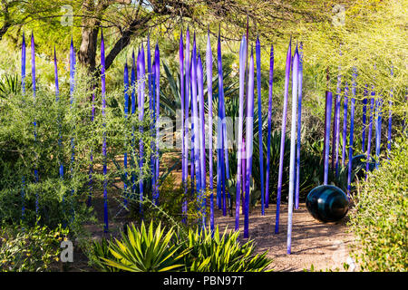 Chihuly Neodymium Reeds at Desert Botanical Garden, Phoenix Stock Photo