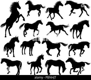 Horse Silhouettes Set Stock Vector