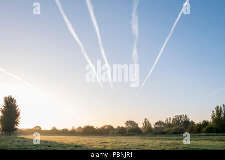 Aircraft contrails in the sky at dawn over a field in the Nottinghamshire countryside, England, UK Stock Photo