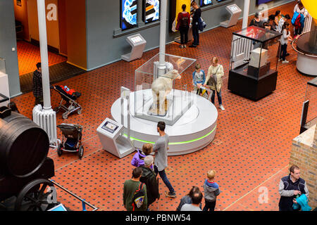 EDINBURGH, SCOTLAND - JULY 17, 2016: Dolly the sheep in the National Museum of Scotland. It was renovated in 2011 Stock Photo