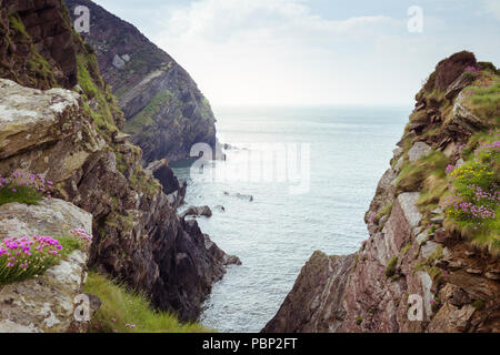 The Bay at Heddon's Mouth, near Hunter's Inn and Lynton, North Devon, UK. Stock Photo