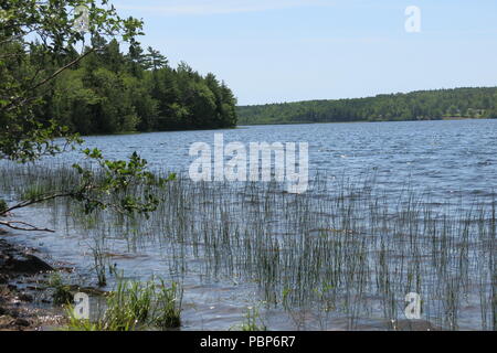 Lochiel Lake Provincial Park provides picnic tables in the woods and a sheltered lakeside spot to enjoy walking trails, boating and swimming Stock Photo