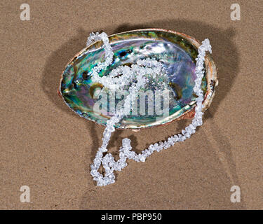 Clear Quartz Tumbled Chips Necklace presented on abalone shell  on the beach at sunrise. Stock Photo
