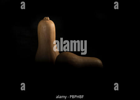 Squashes on a black background Stock Photo
