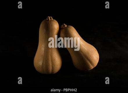 Squashes on a black background Stock Photo