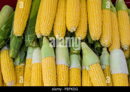 Fresh corn in market Stock Photo