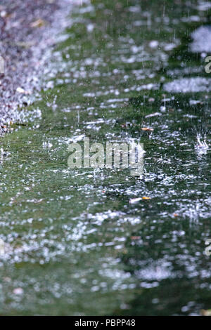 North Wales,  UK Weather: The first real sustained rainfall for many today including Flintshire, which is a welcome respite from the recent heatwave. Heavy rainfall falling into a road verge as the water builds up due to torrential rain in Flintshire, Wales, UK Stock Photo