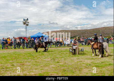Schull, West Cork, Ireland. 29th July, 2018. Schull Agricultural Show is underway in blazing sunshine with hundreds of people attending. Credit: Andy Gibson/Alamy Live News. Stock Photo