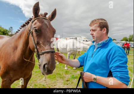Schull, West Cork, Ireland. 29th July, 2018. Schull Agricultural Show is underway in blazing sunshine with hundreds of people attending. Patrick Cronin from Ballylickey showed his Irish Draught horse 'Lady Mary'. Credit: Andy Gibson/Alamy Live News. Stock Photo